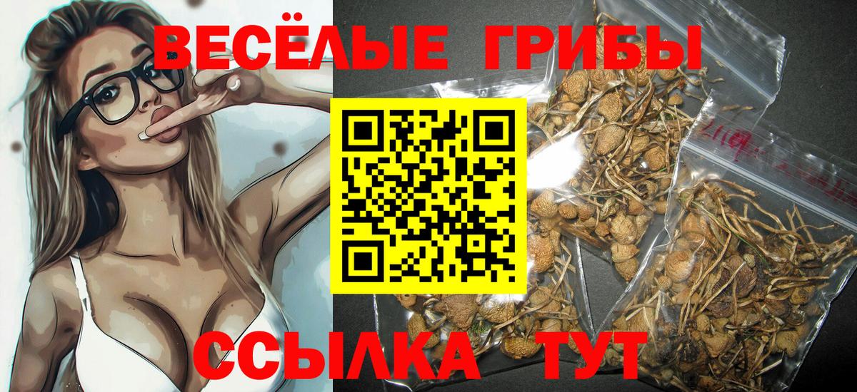 Галлюциногенные грибы Magic Shrooms Клинцы